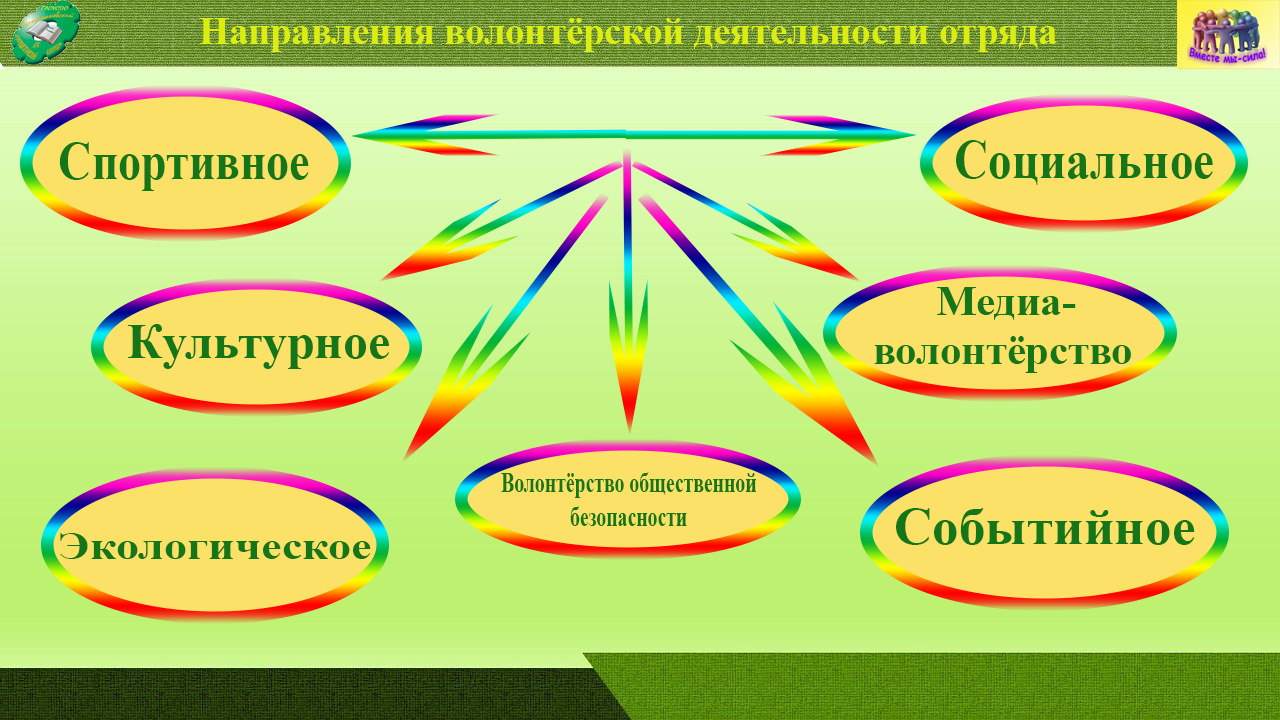 Направления волонтерства схема